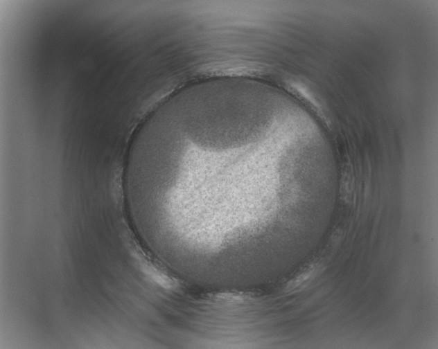 X0000069800394200605261728