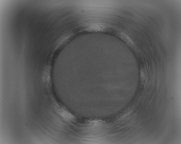 X0000069800396200605261728