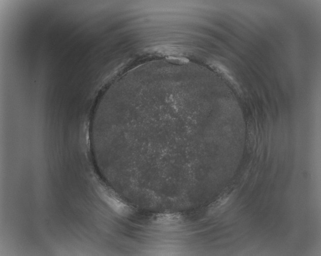 X0000069800398200605261728