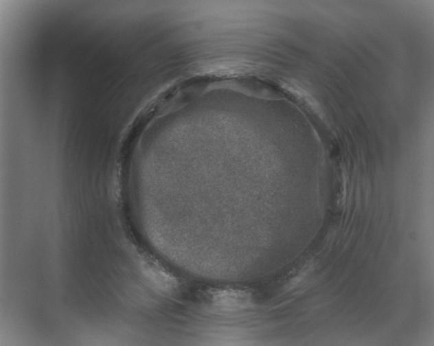 X0000069800400200605261728