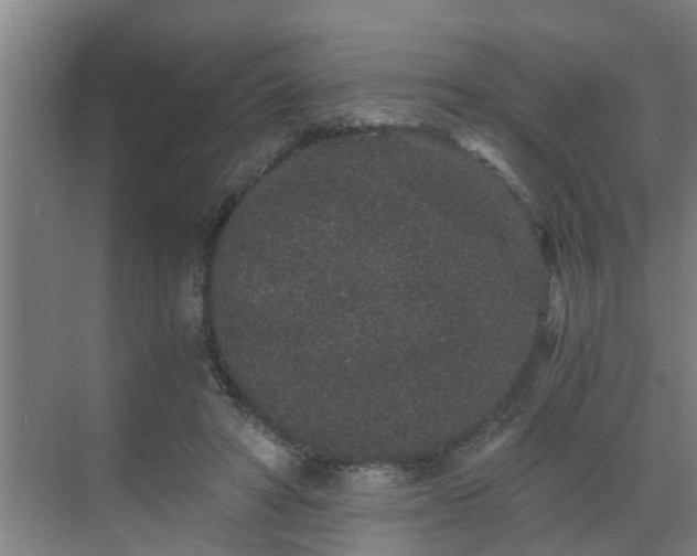 X0000069800402200605261728