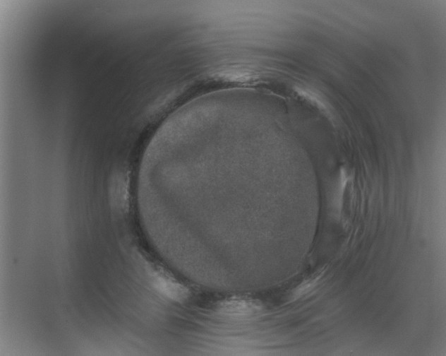 X0000069800404200605261728