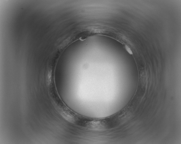 X0000069800406200605261728