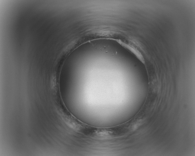 X0000069800407200605261728