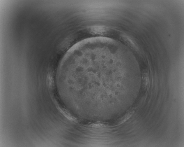 X0000069800408200605261728