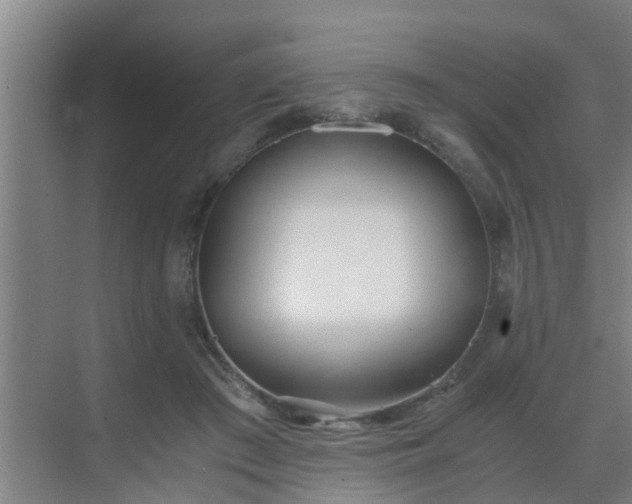 X0000069800409200605261728