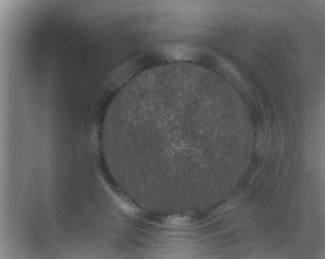 X0000069800410200605261728