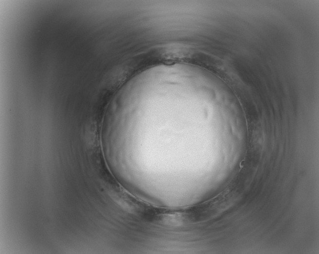 X0000069800411200605261728