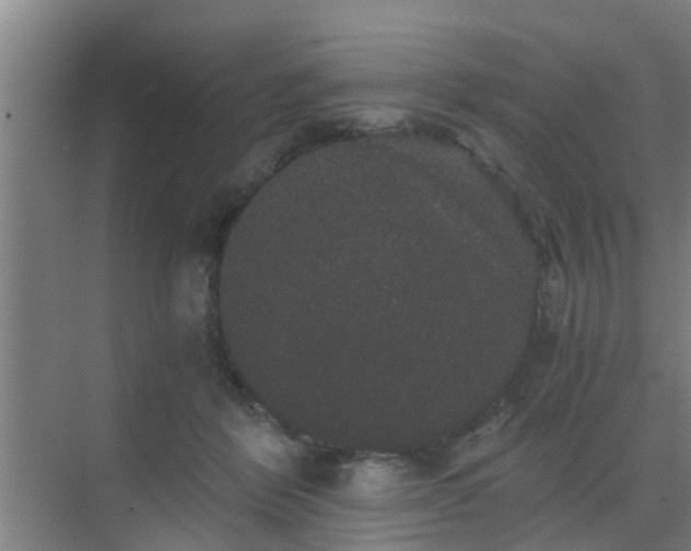 X0000069800412200605261728