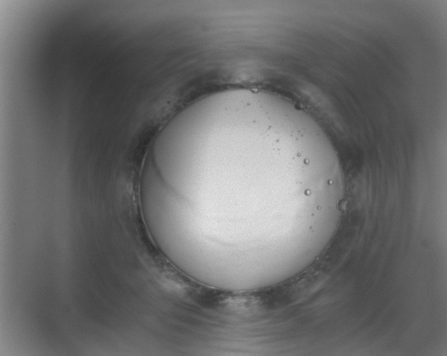 X0000069800415200605261728