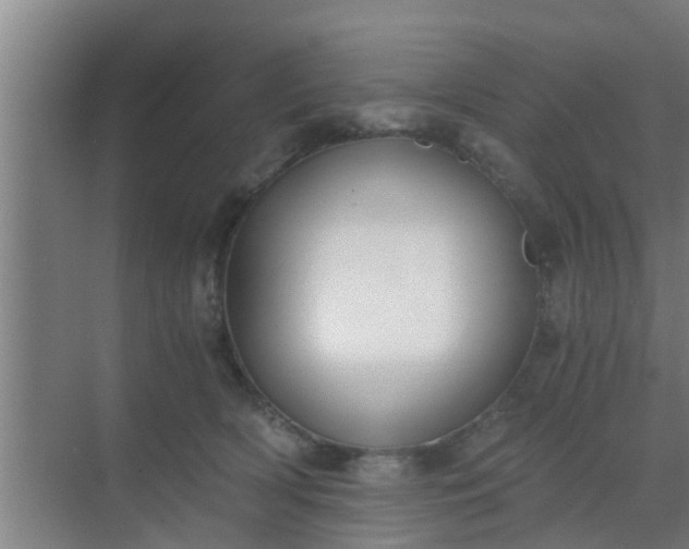 X0000069800418200605261728