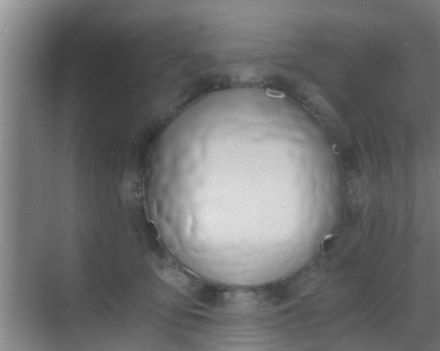 X0000069800419200605261728