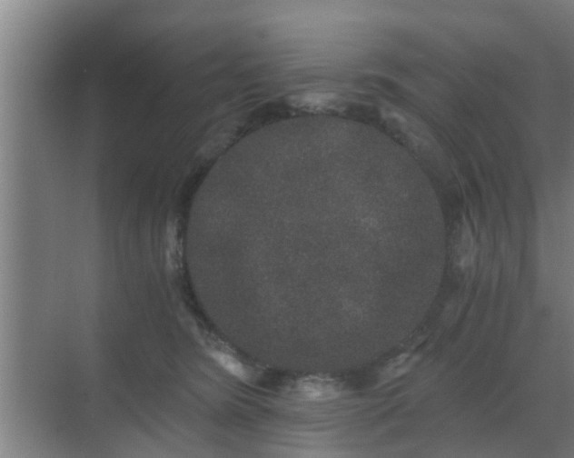 X0000069800420200605261728