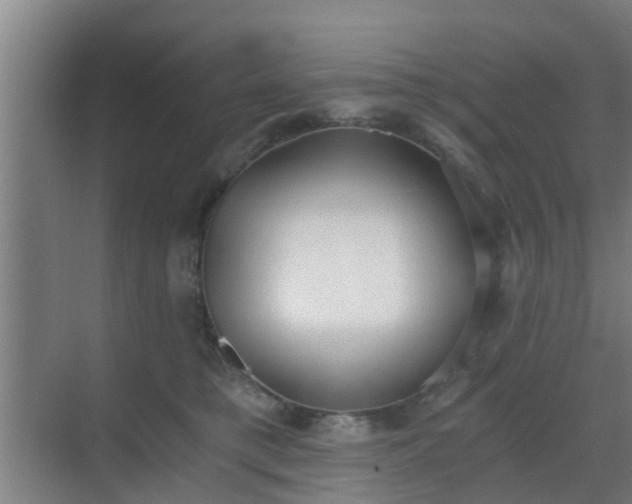 X0000069800421200605261728