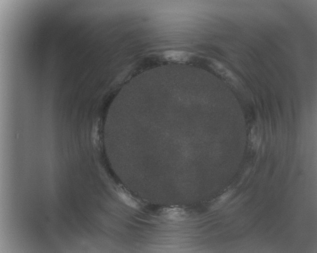 X0000069800424200605261727