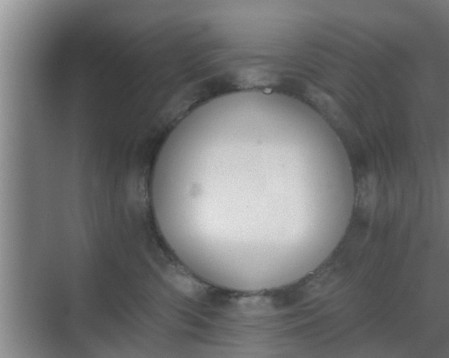 X0000069800426200605261727