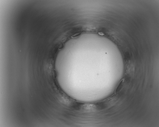 X0000069800427200605261727