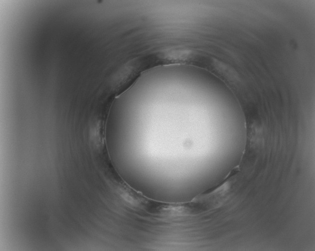 X0000069800428200605261727