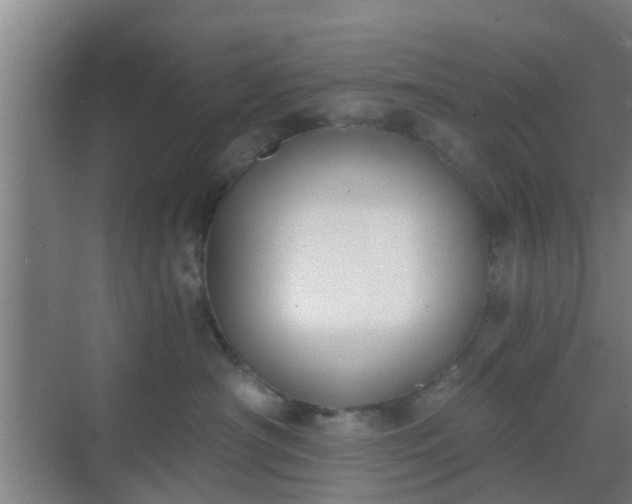 X0000069800430200605261727