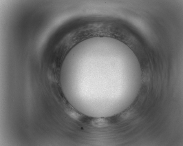 X0000069800431200605261727