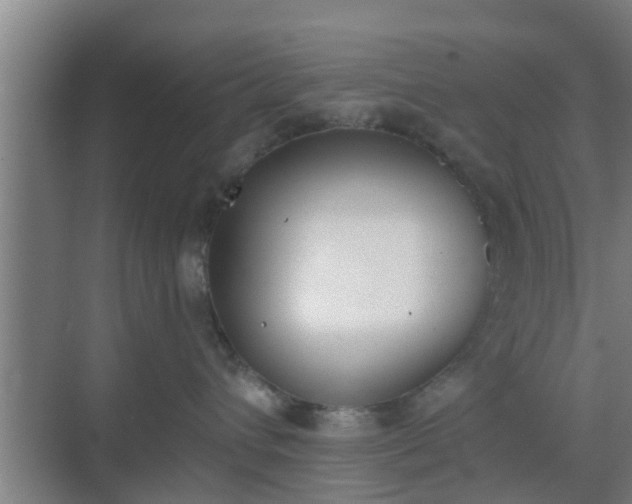 X0000069800432200605261727