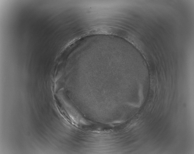 X0000069800434200605261727