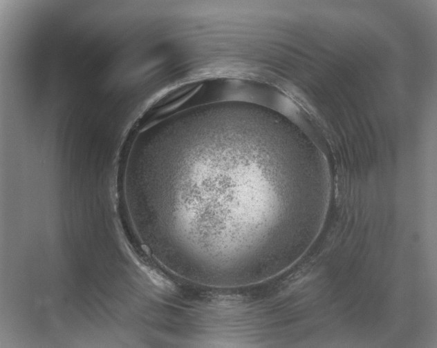 X0000069800438200605261727