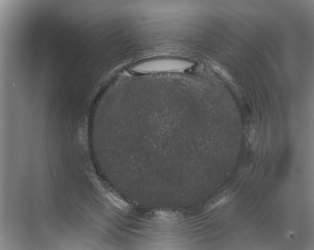 X0000069800442200605261727