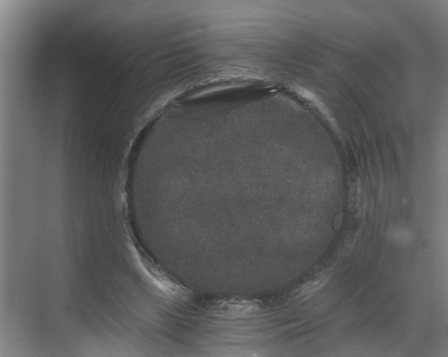 X0000069800443200605261727