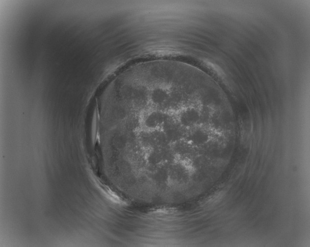 X0000069800447200605261727