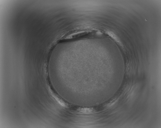 X0000069800449200605261727