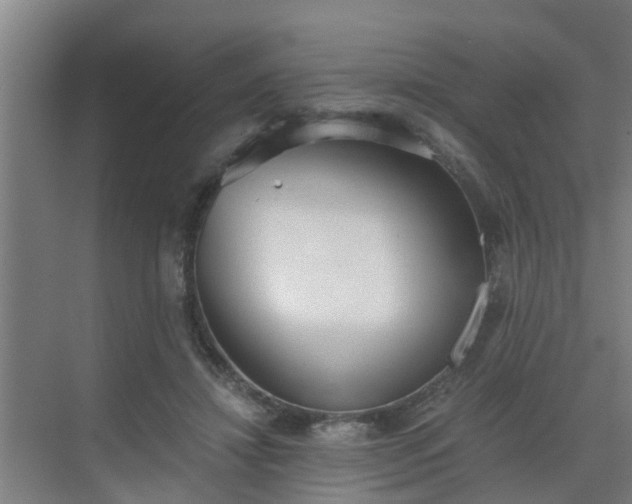 X0000069800452200605261727