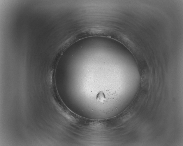 X0000069800454200605261727