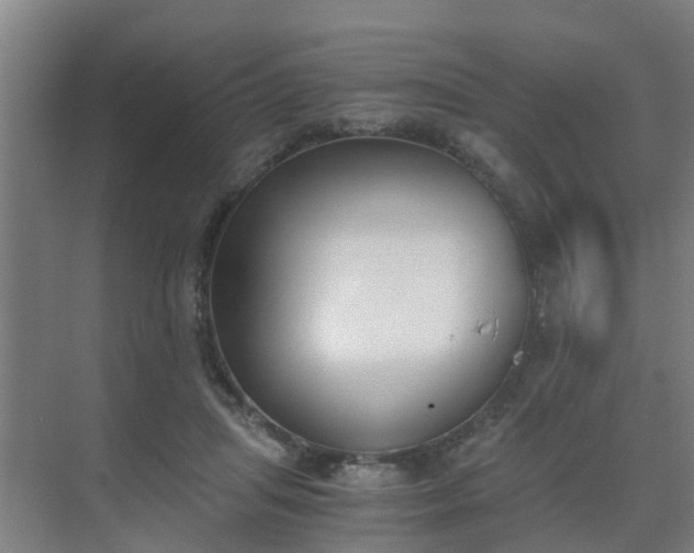 X0000069800455200605261727