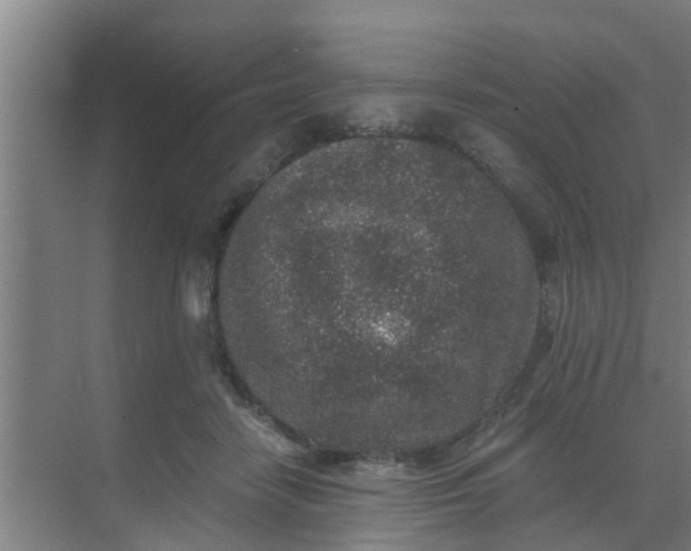 X0000069800458200605261727