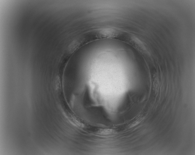 X0000069800459200605261727