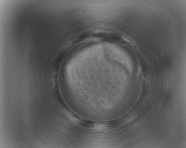 X0000069800462200605261727