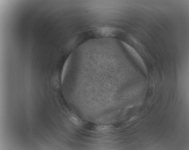 X0000069800465200605261727