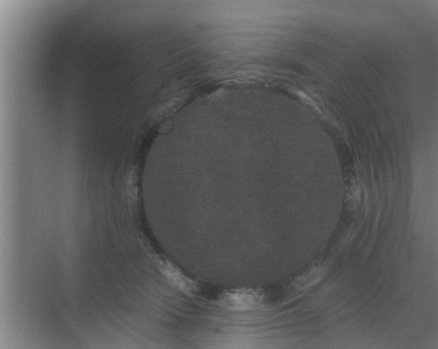 X0000069800466200605261727