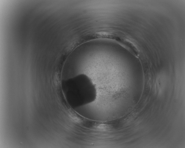 X0000069800467200605261727