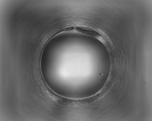 X0000069800481200605261727