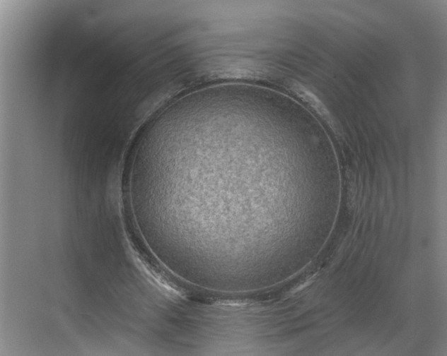 X0000069800482200605261727