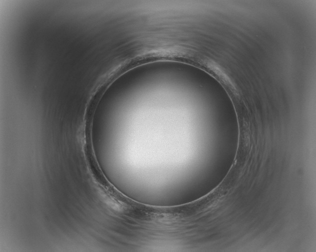 X0000069800486200605261726