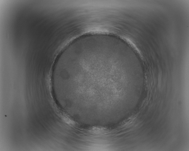 X0000069800487200605261726