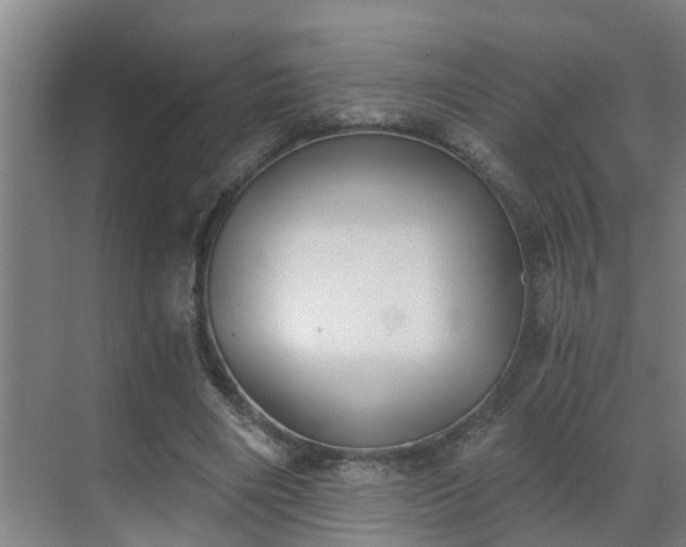 X0000069800490200605261726