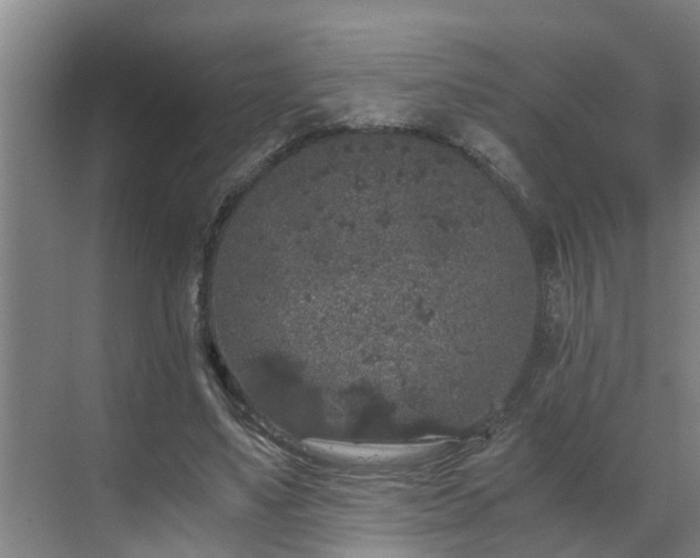 X0000069800491200605261726