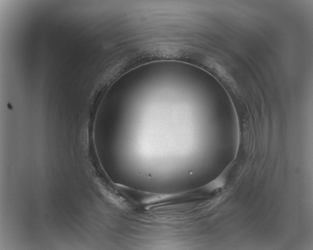 X0000069800493200605261726