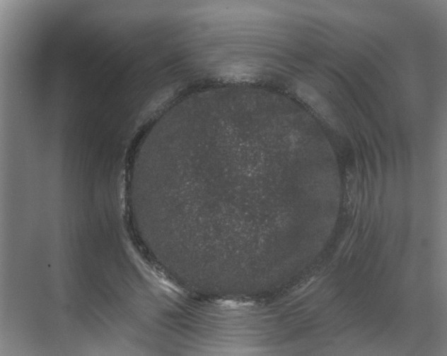 X0000069800494200605261726