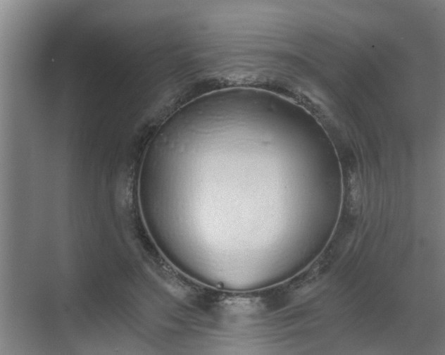 X0000069800499200605261726