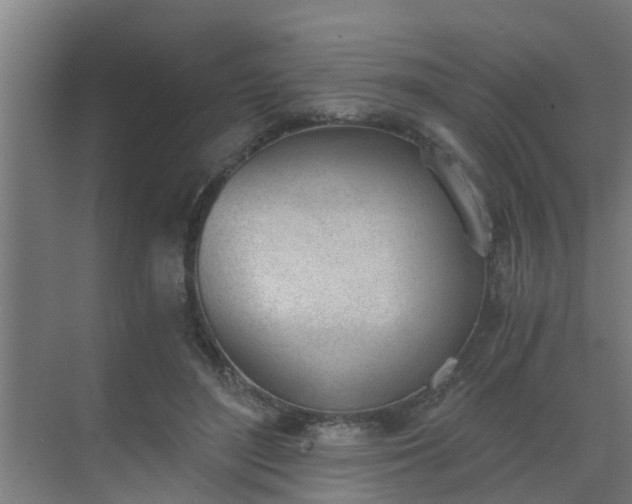 X0000069800500200605261726